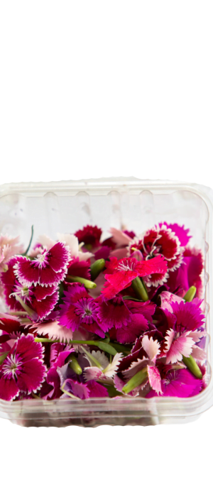 Flores Comestibles